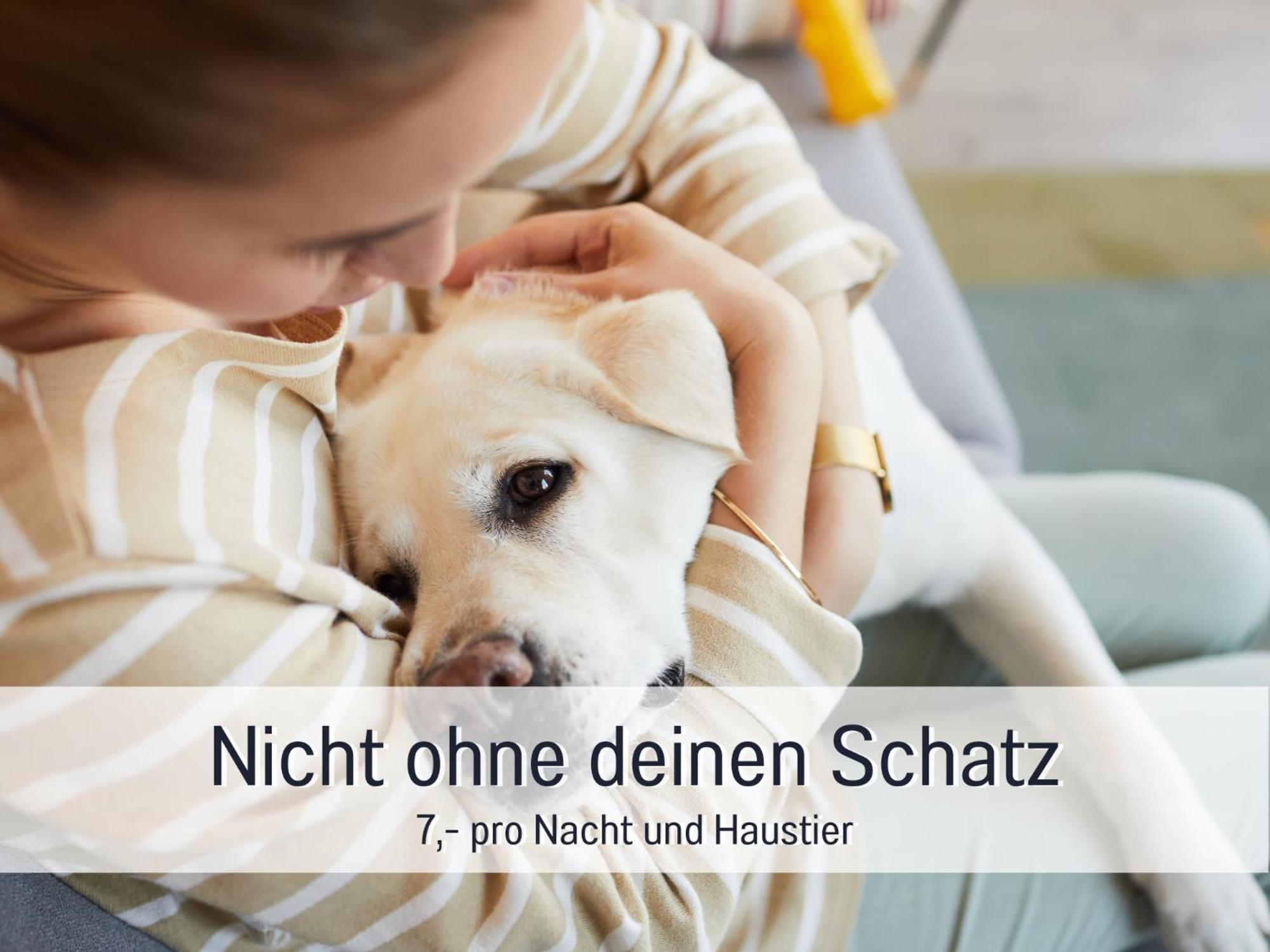 Ferienhaus Toepferhaus - Strandnah, Haustierfreundlich, Optimal Fuer Workation, Kaminofen, Garten, Fuer Paare Und Alleinreisende Steinberg  Екстер'єр фото