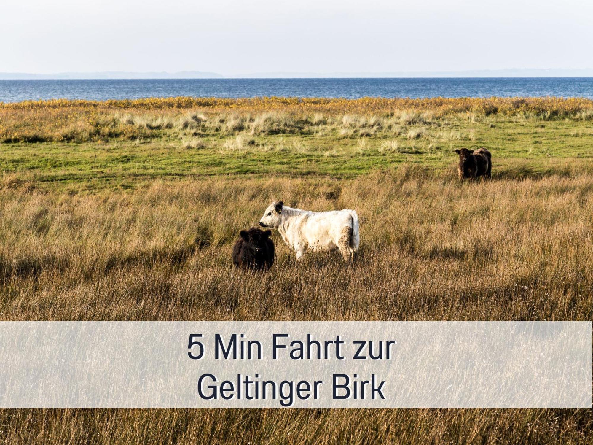 Ferienhaus Toepferhaus - Strandnah, Haustierfreundlich, Optimal Fuer Workation, Kaminofen, Garten, Fuer Paare Und Alleinreisende Steinberg  Екстер'єр фото